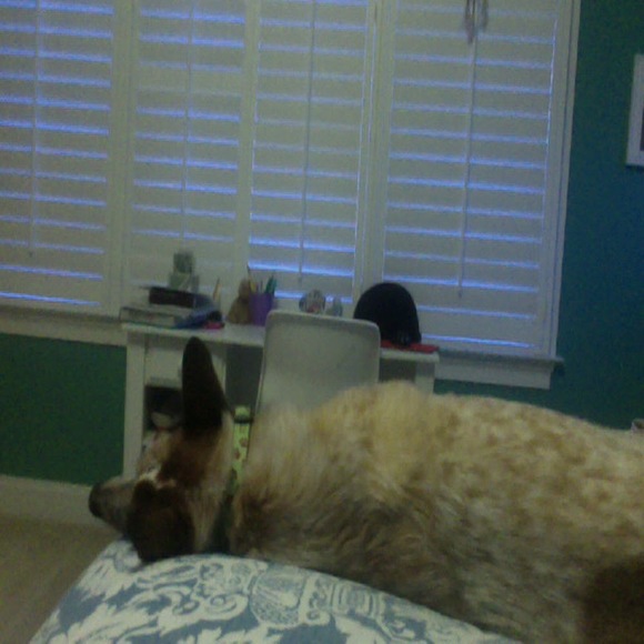 Meet your Posher, Cate - Picture 1 of 1